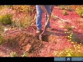 Tips for Digging a Hole in Perennial Planting Tips for Digging a Hole in Perennial Planting