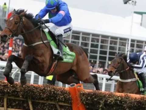 cheltenham race