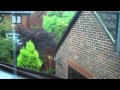 Rainyfeel - Heavy Rain Storm (The sound of rain w/o music)