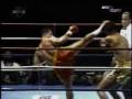 Andy Hug Highlight by mck2h