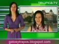 BLOGDAY 2008 | Telurica 461