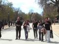 videos de sulca solano
