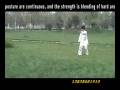 八卦直趟六十四掌 4 VCD.flv