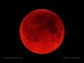 Midnight Moon