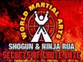www.groundfighter.com - from shogun and ninja's top position for mma dvd bringing to light the top position including inside the guard, cross body, mount, north and south and more based on the tried and true principles of the chute boxe academy.