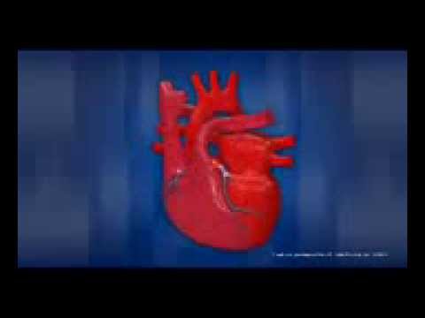 how to heart works digitexmedical youtube how the heart works