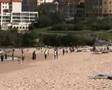 Bondi Beach - Sydney - Australia
