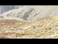 Heli-Biking.mpg Heli-Biking.mpg