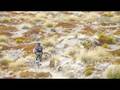 videos de Heli-Biking.mpg