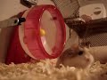 A new Tic & Tac film �