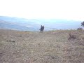 en komik atçılar