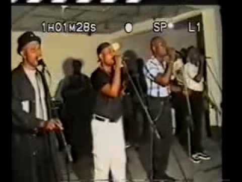 Toutou Live Toutou Live