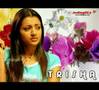 cute-Trisha-krishna