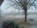 The Snow Run