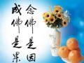 李娜(昌圣法师)唱诵南无阿弥陀佛