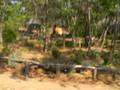 Kufunda community garden