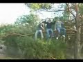 Czarnyhumor - Jackass Junior Czarnyhumor - Jackass Junior