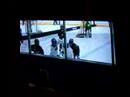 Jacob's Goal
