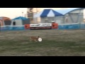 Click here to watch this video K9 東扇島 ２月１９日 はなさん スモールドッグ決勝
