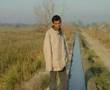 hunting in pakistan 2008 khurram from denmark