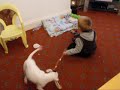 staffordshire bull terrier - Chica 12 weeks ;) and Kacper 4 Years