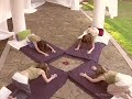 Yoga Therapy: Balasana / Urdha Mukha Svasana Flow, Child  Yoga Asthma