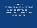 Trio Ciola: lavare le scale- savè dai la penna