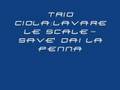 Trio Ciola: lavare le scale- savè dai la penna