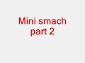 woodstock 2009 mini smash part 2