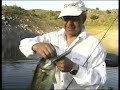 pesca blak bass españa