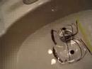 aqua man dude part 4
