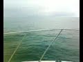 ballenas ensenada