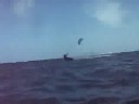video 33 du 22/08/08 � bois jolant : les videos Surf