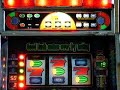 登録カテゴリー：Entertainment