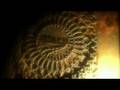 videos de Arcania a Gothic Tale trailer lepsza jakosc