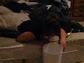My Drunk Mom