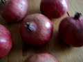 * ARBEItSLoS * Ein Experiment!?! *****