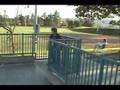 Jason Beggs Minivid 4