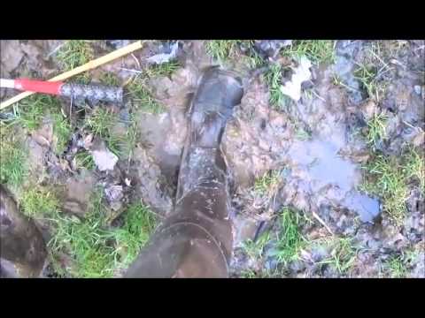 YouTube reptile video