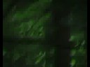 trailer zu dem roman 