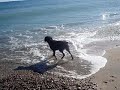 Perla en el mar Perla en el mar