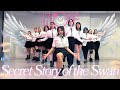 Secret Story of the Swan | 11:11