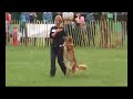 Ruby dancing on Best Dog Event