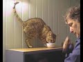 The shaping of Zimbas behaviour with a clicker