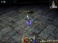 desni X skill master