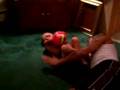 toughest ufc fighter ever