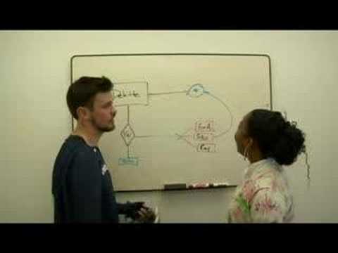 YouTube Preview Image