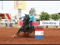Cavalos
