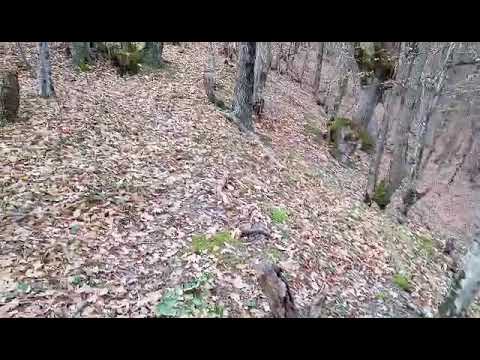 Посмотреть видео