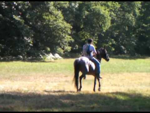 Voir la vidéo